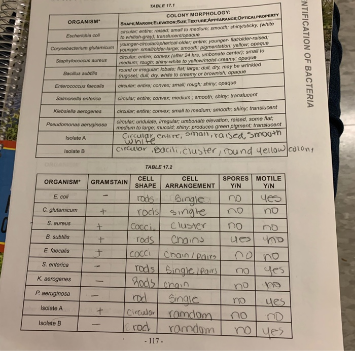 Solved Discussion 30 Points General Discussion Restate Y Chegg Com