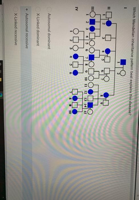 Solved Which Mendelian inheritance pattern best explains | Chegg.com