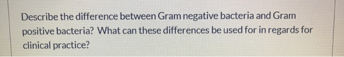 Solved Describe the difference between Gram negative | Chegg.com