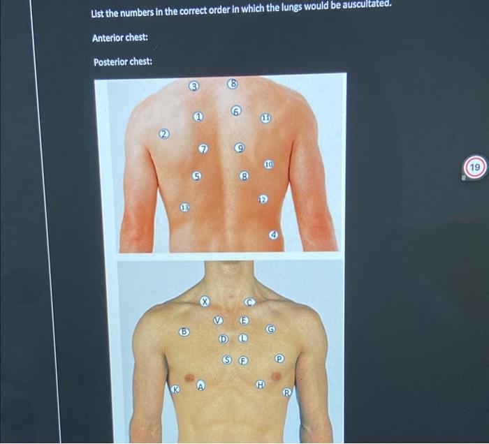 List the numbers in the correct order in which the lungs would be auscultated.
Anterior chest:
Po