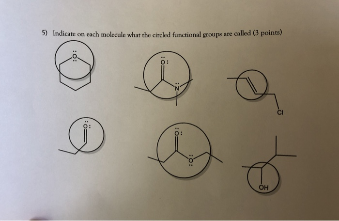 Solved 5) Indicate on each molecule what the circled | Chegg.com