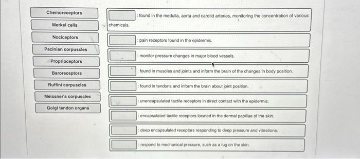 Solved Match the terms with The correct description | Chegg.com