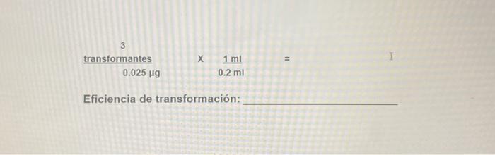 3 transformantes 0.025 vg x х 1 ml 0.2 mi Eficiencia de transformación: