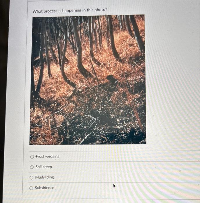 What process is happening in this photo?
Frost wedging
Soil creep
Mudsliding
Subsidence