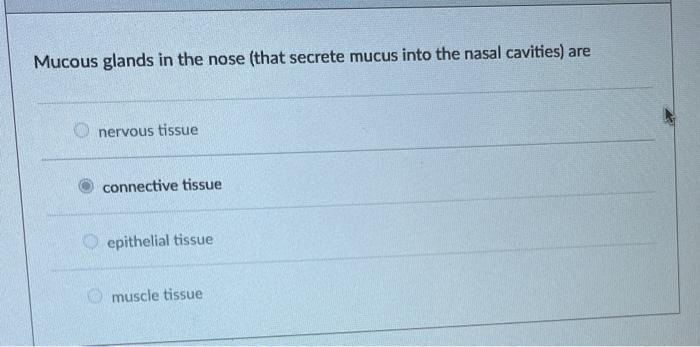 Mucous glands in the nose (that secrete mucus into the nasal cavities) are
nervous tissue
connective tissue
epithelial tissue