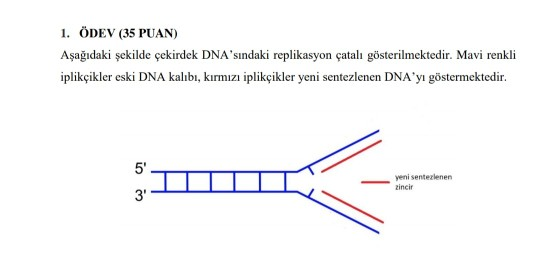 1. ÖDEV (35 PUAN) Aşağıdaki şekilde çekirdek | Chegg.com