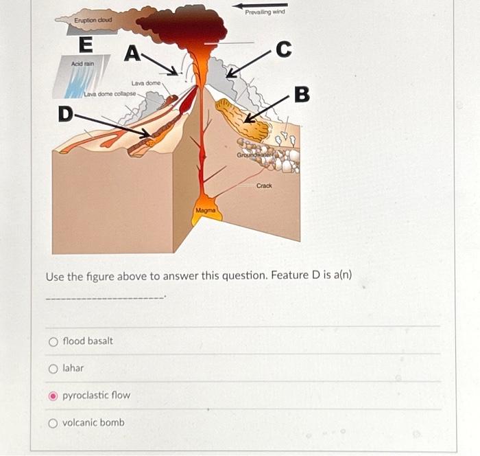 Solved Use the figure above to answer this question. Feature | Chegg.com