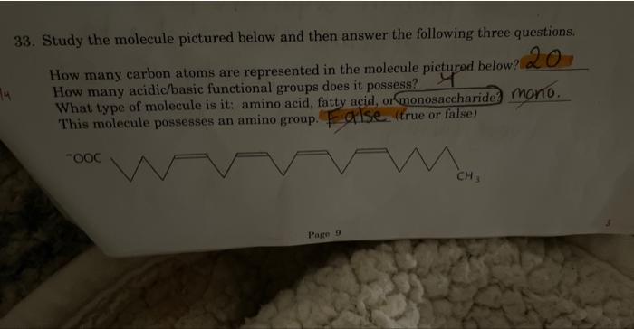 Solved 3. Study the molecule pictured below and then answer | Chegg.com
