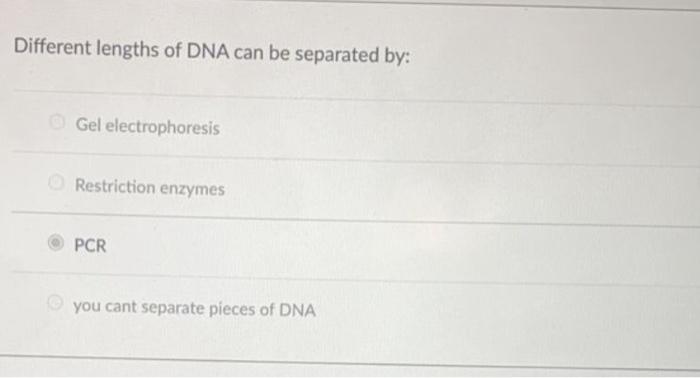 Solved Different lengths of DNA can be separated by: Gel | Chegg.com