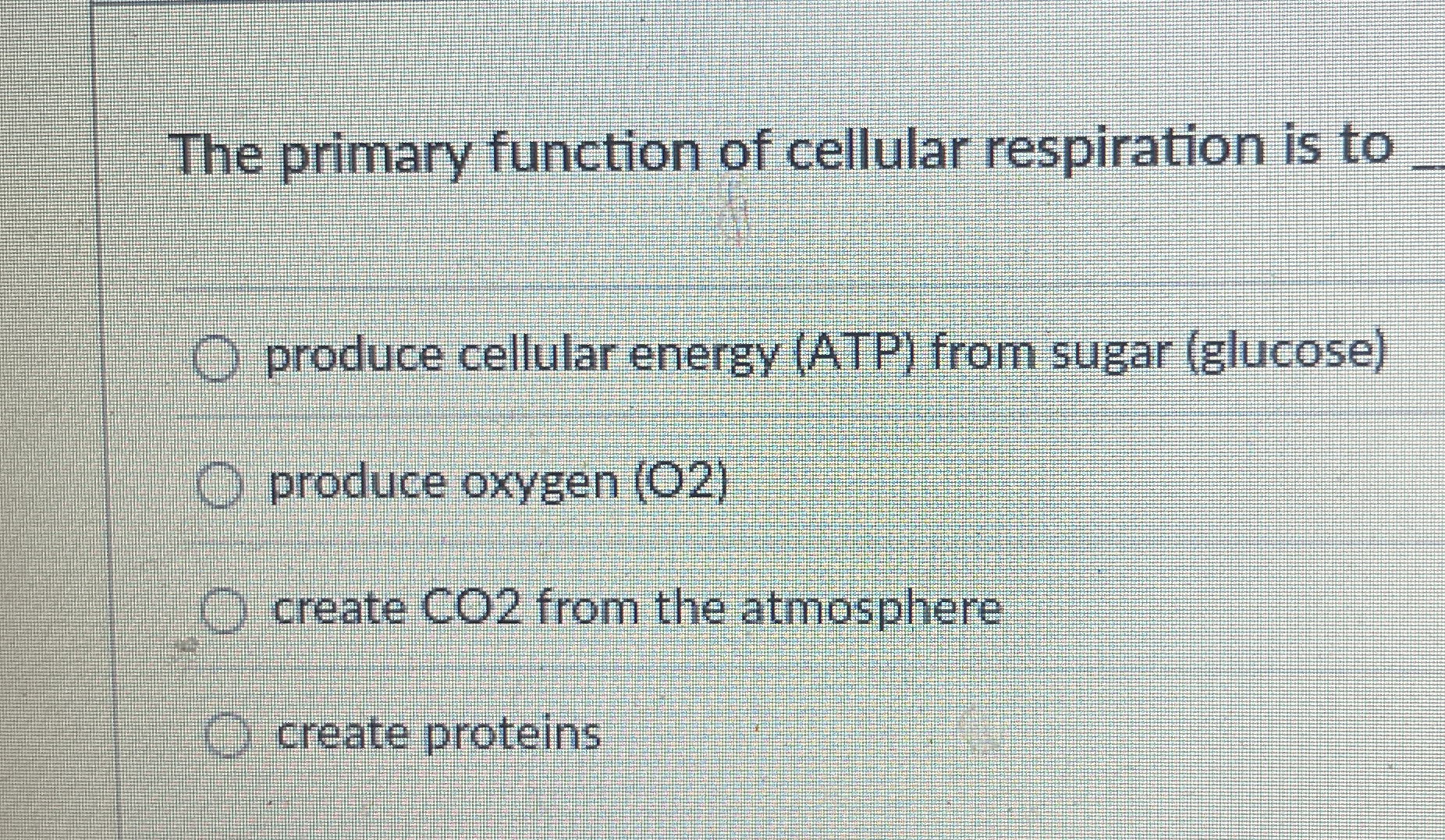 Solved The Primary Function Of Cellular Respiration Is Chegg Com