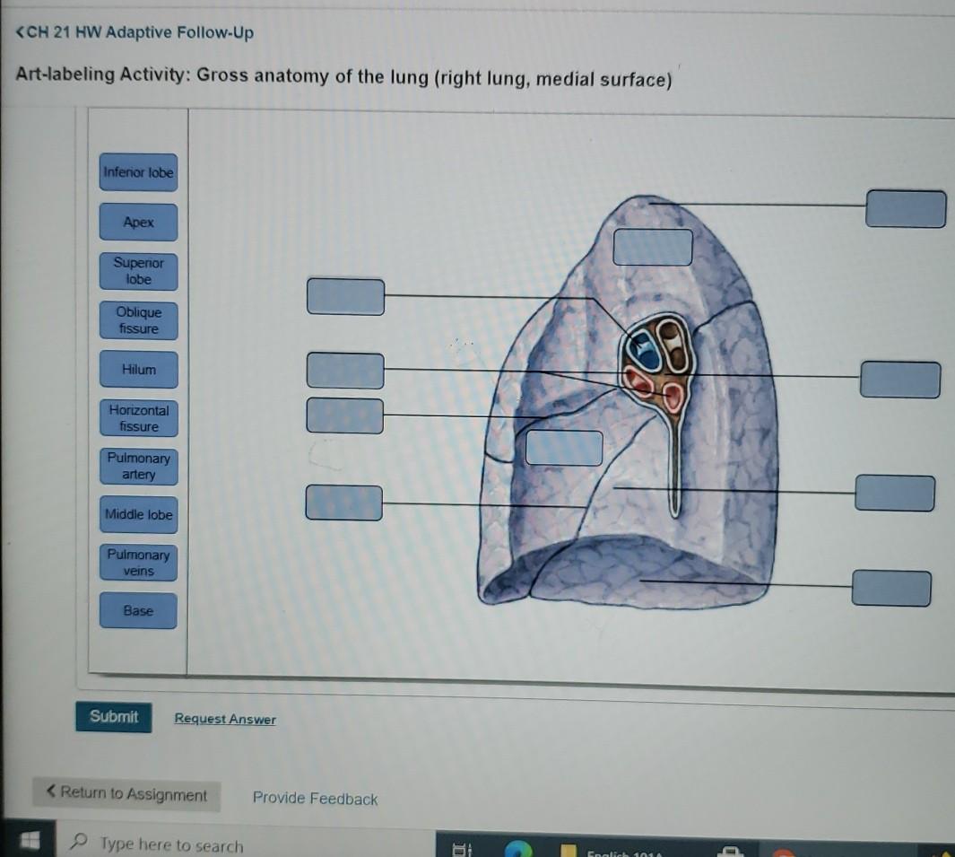 Solved Question | Chegg.com