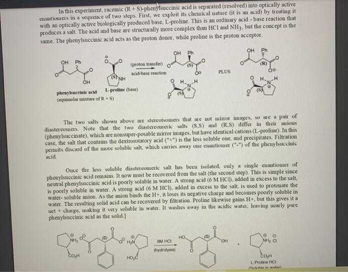 In this experiment, racemic (RS)-phenylsuccinic acid | Chegg.com