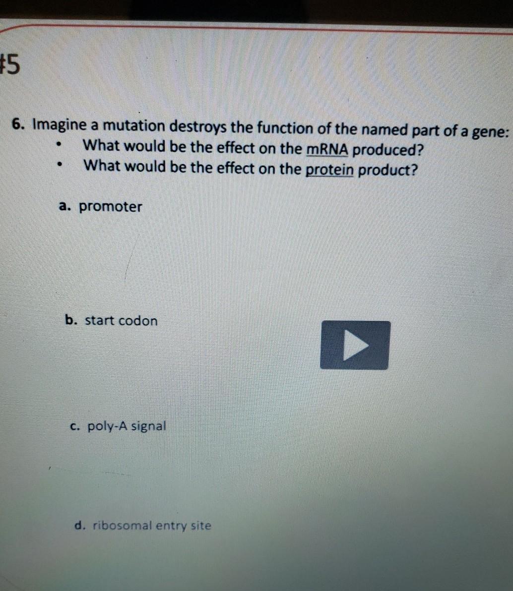 Solved #5 6. Imagine a mutation destroys the function of the | Chegg.com