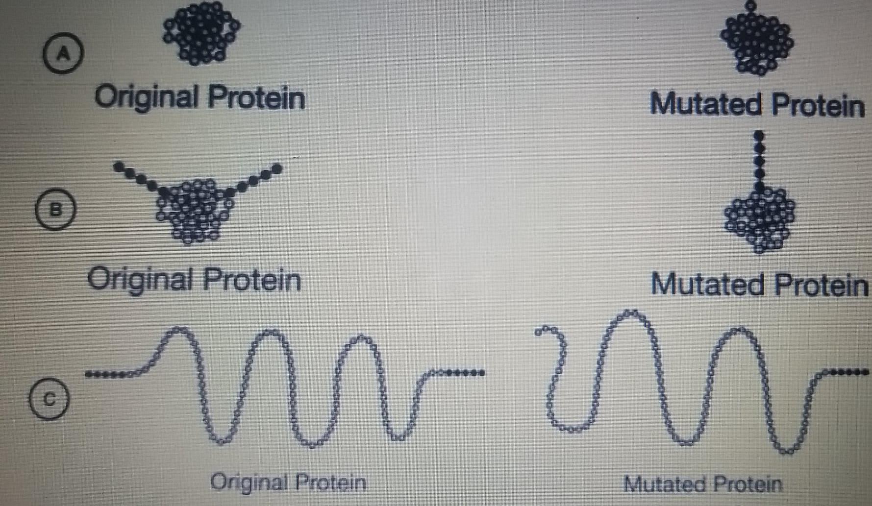 A small protein is composed of 110 amino acids linked