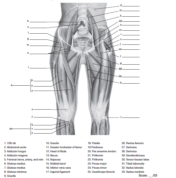 Chapter 10 Solutions Workbook For Know The Body Muscle Bone And Palpation Essentials 0th Edition Chegg Com