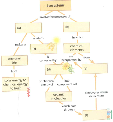Ecosystem Dynamics Chart