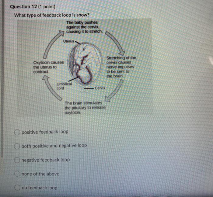 Solved can you please help me with these two i just need | Chegg.com