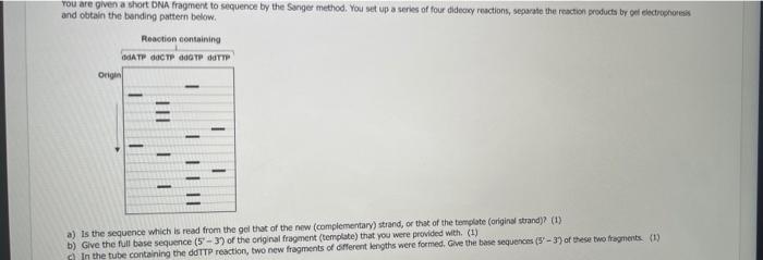 Solved You are given a short DNA fragment to sequence by the | Chegg.com