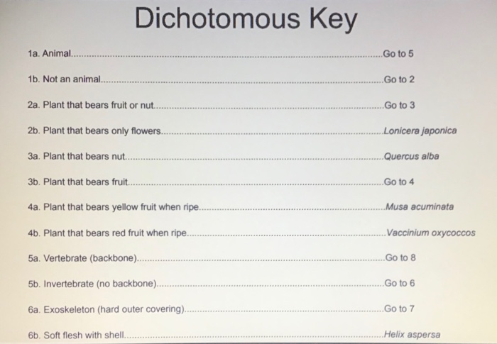 dichotomous key examples for fruit