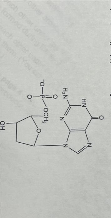 Solved Label The Phosphate Group, Pentose Sugar, And 