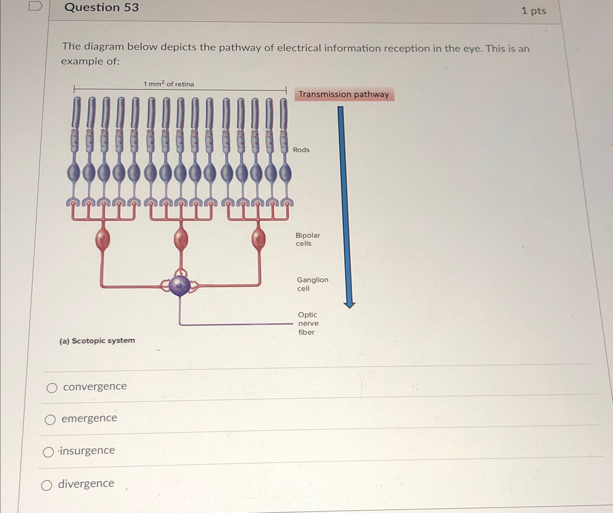 Solved Question 531 ﻿ptsThe diagram below depicts the | Chegg.com