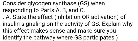 Solved Consider glycogen synthase (GS) when responding to | Chegg.com