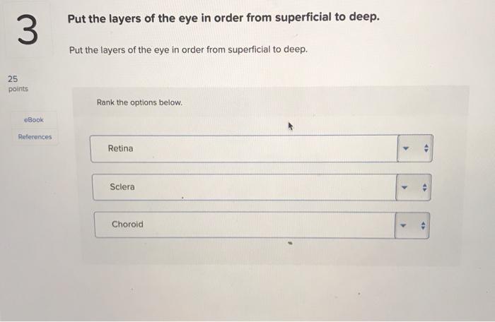 Solved Put the layers of the eye in order from superficial | Chegg.com