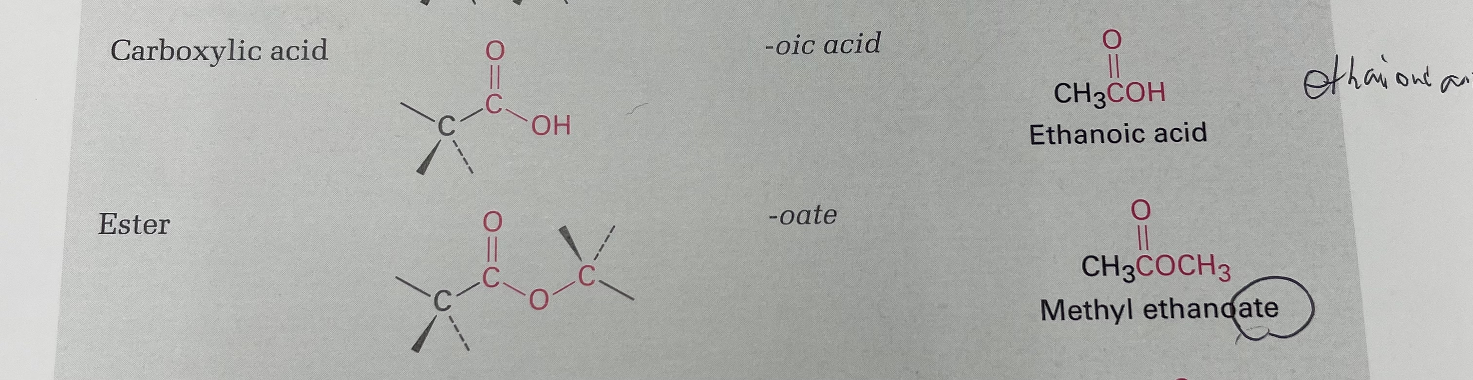 Solved because there are 2 ﻿carbons, name of example of | Chegg.com