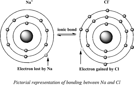 Definition of Bond | Chegg.com