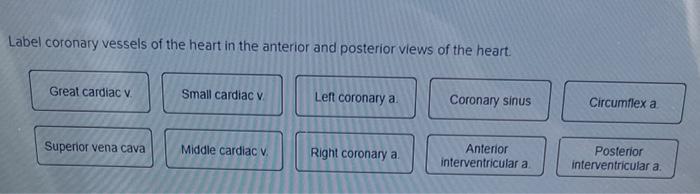 Solved Label the coronary vessels of the heart in the | Chegg.com