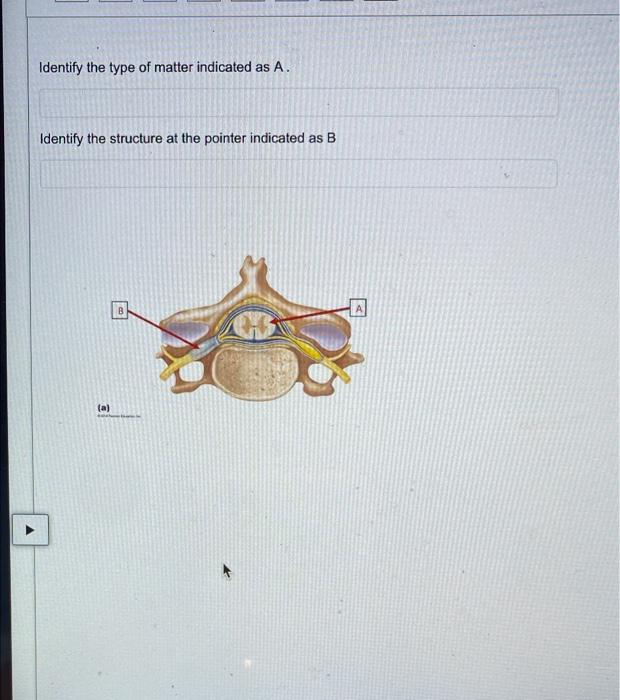 Solved Identify the type of matter indicated as A. Identify | Chegg.com