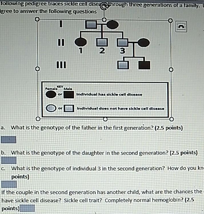 Solved following pedigree traces sickle cell dise@hrough | Chegg.com