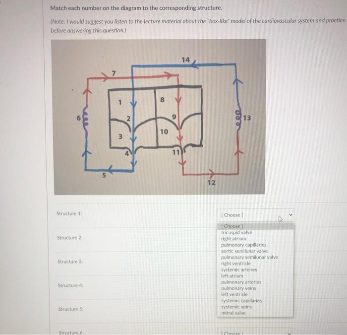 Solved Match each number on the diagram to the corresponding | Chegg.com
