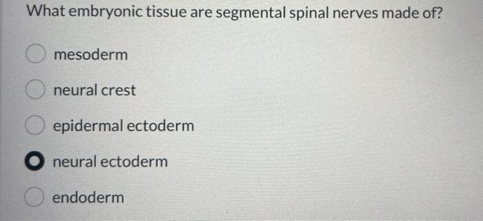 What embryonic tissue are segmental spinal nerves made of?
mesoderm
neural crest
epidermal ectoderm
neural ectoderm
endoderm