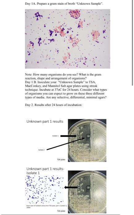 Solved Use The Pictures Below To Answer The Top Questions In | Chegg.com