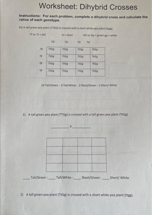 Solved Worksheet: Dihybrid Crosses Instructions: For each | Chegg.com