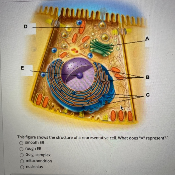 Solved D A E B Moon DIONO This figure shows the structure of | Chegg.com