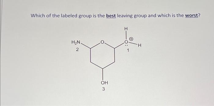 Solved Which of the labeled group is the best leaving group | Chegg.com