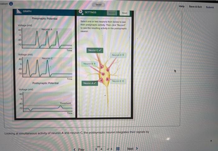 Solved Looking at simultaneous activity of neuron A & C , | Chegg.com