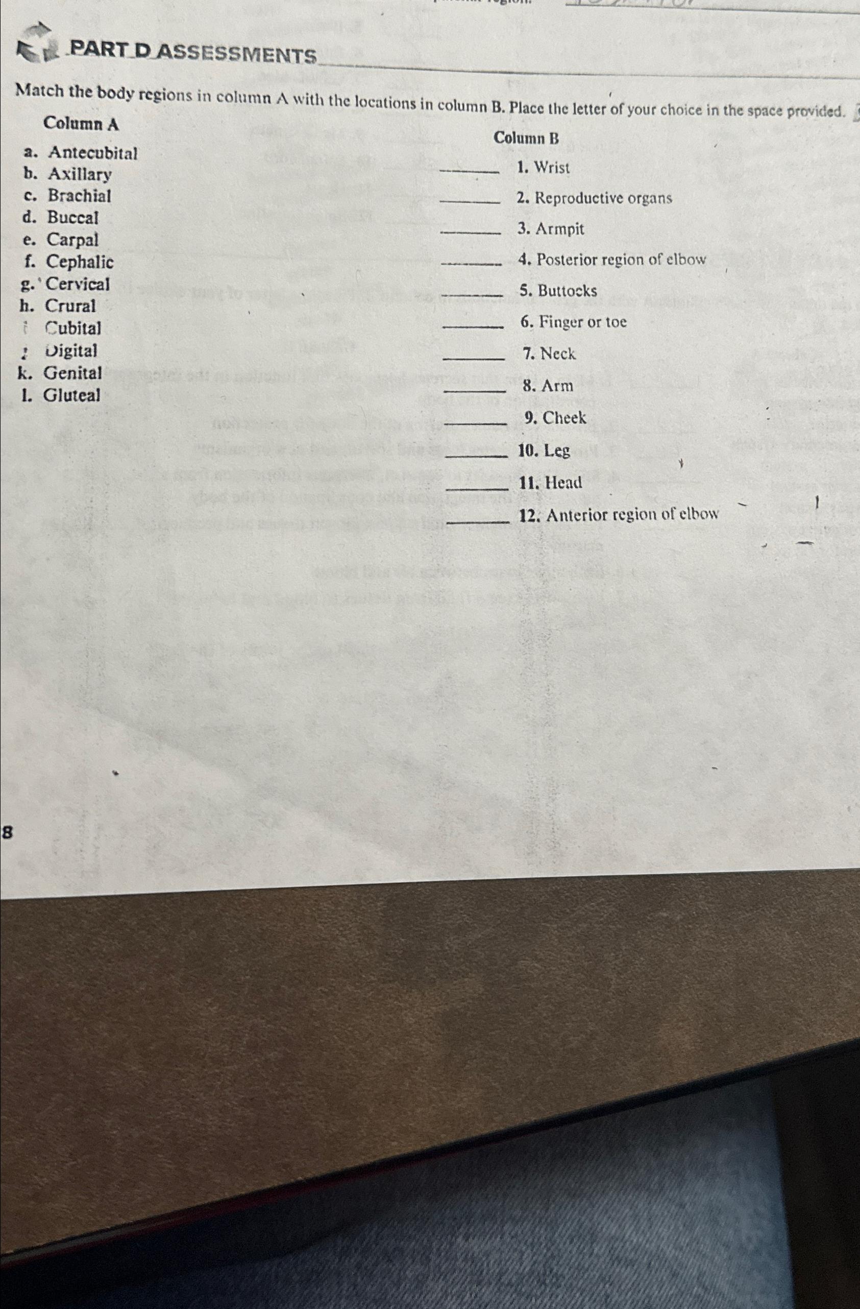 Solved PART D ASSESSMENTSMatch The Body Regions In Column A | Chegg.com