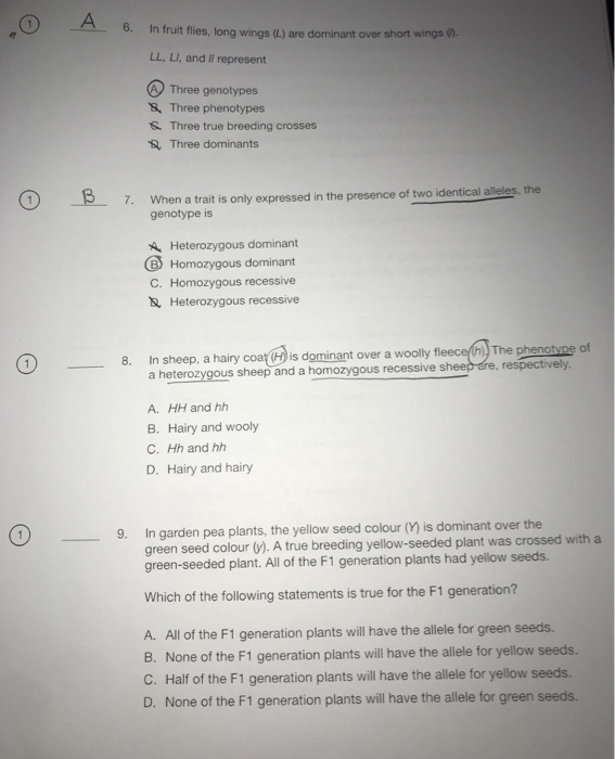 Solved A 6. In fruit flies, long wings (L) are dominant over | Chegg.com