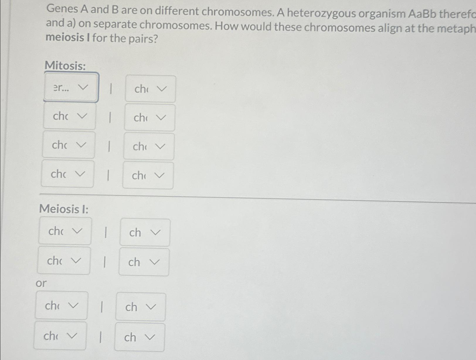 Solved Genes A and B ﻿are on different chromosomes. A | Chegg.com