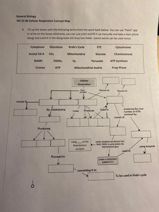 Cellular Respiration Concept Map Cellular Respiration Concept Map My   Image