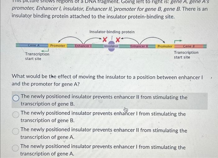 Solved the picture shows regions of a DNA fragment. Going | Chegg.com