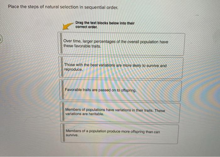 solved-place-the-steps-of-natural-selection-in-sequential-chegg