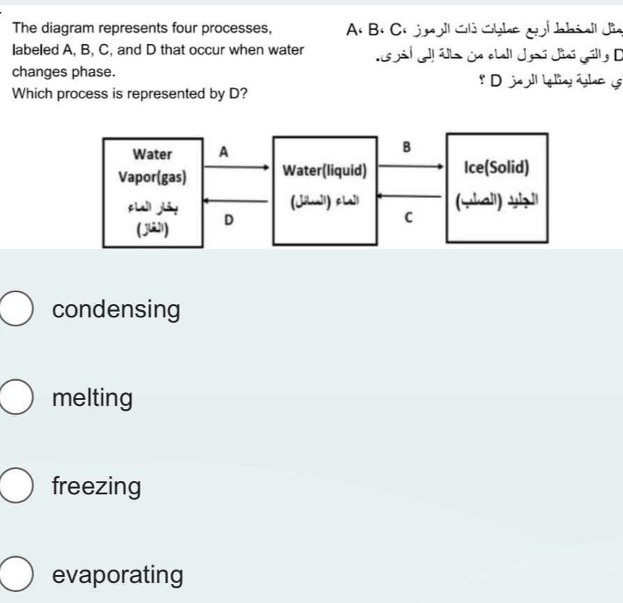 Solved The Diagram Represents Four Processes, Labeled A, ﻿B, | Chegg.com