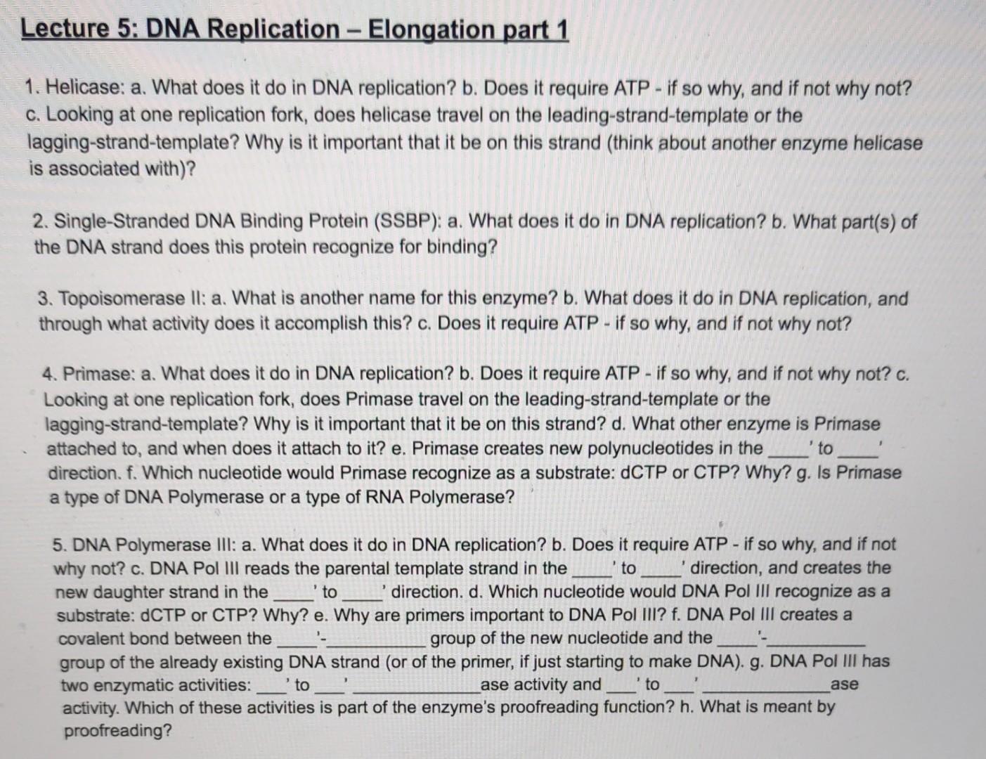 Solved Lecture 5: DNA Replication - Elongation part 1 1. | Chegg.com