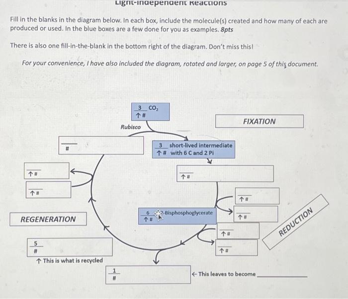 Solved Please help me fill out the digram in the first | Chegg.com