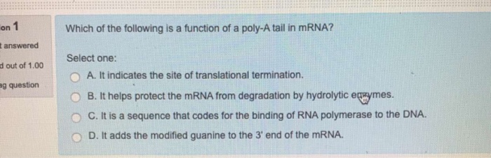 Solved on 1 Which of the following is a function of a poly-A | Chegg.com