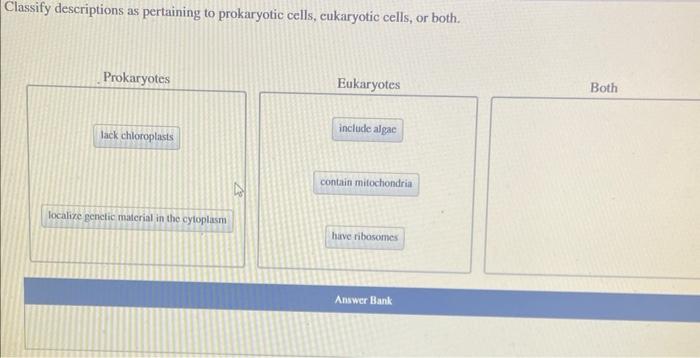 Solved Classify descriptions as pertaining to prokaryotic | Chegg.com